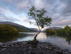 Llyn Padarn